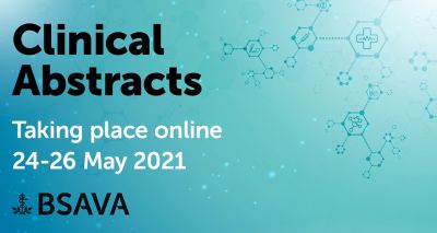 BSAVA announces online abstracts session